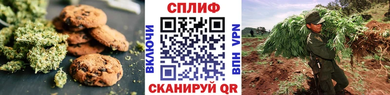 закладка  darknet как зайти  Canna-Cookies марихуана  Красный Холм 