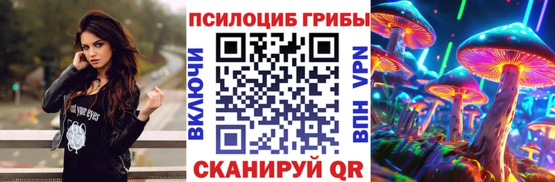 Псилоцибиновые грибы MAGIC MUSHROOMS  omg как войти  Красный Холм 
